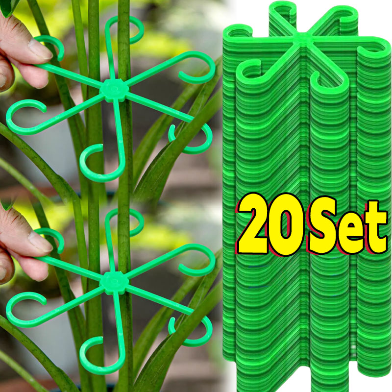 Florist Supp - 花植物茎サポートステーククライミング観葉植物スタンドフレームプラスチックガーデンステークなしトレリス屋内植物ホルダーラックフープ