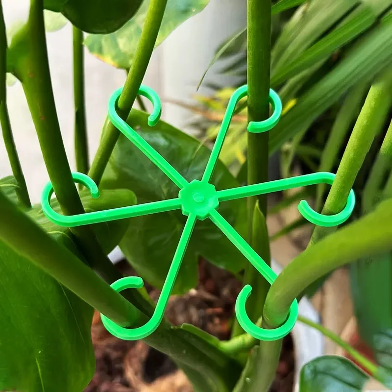 花植物茎サポートステーククライミング観葉植物スタンドフレーム - Florist Supp のレビューと価格