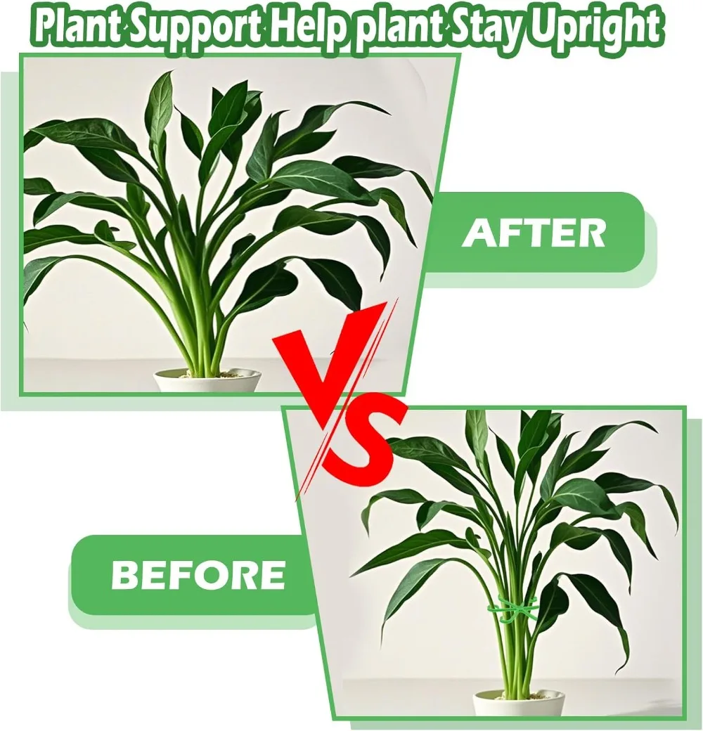 花植物茎サポートステーククライミング観葉植物スタンドフレーム - Florist Supp のレビューと価格