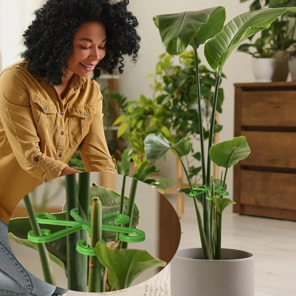 花植物茎サポートステーククライミング観葉植物スタンドフレーム - Florist Supp のレビューと価格