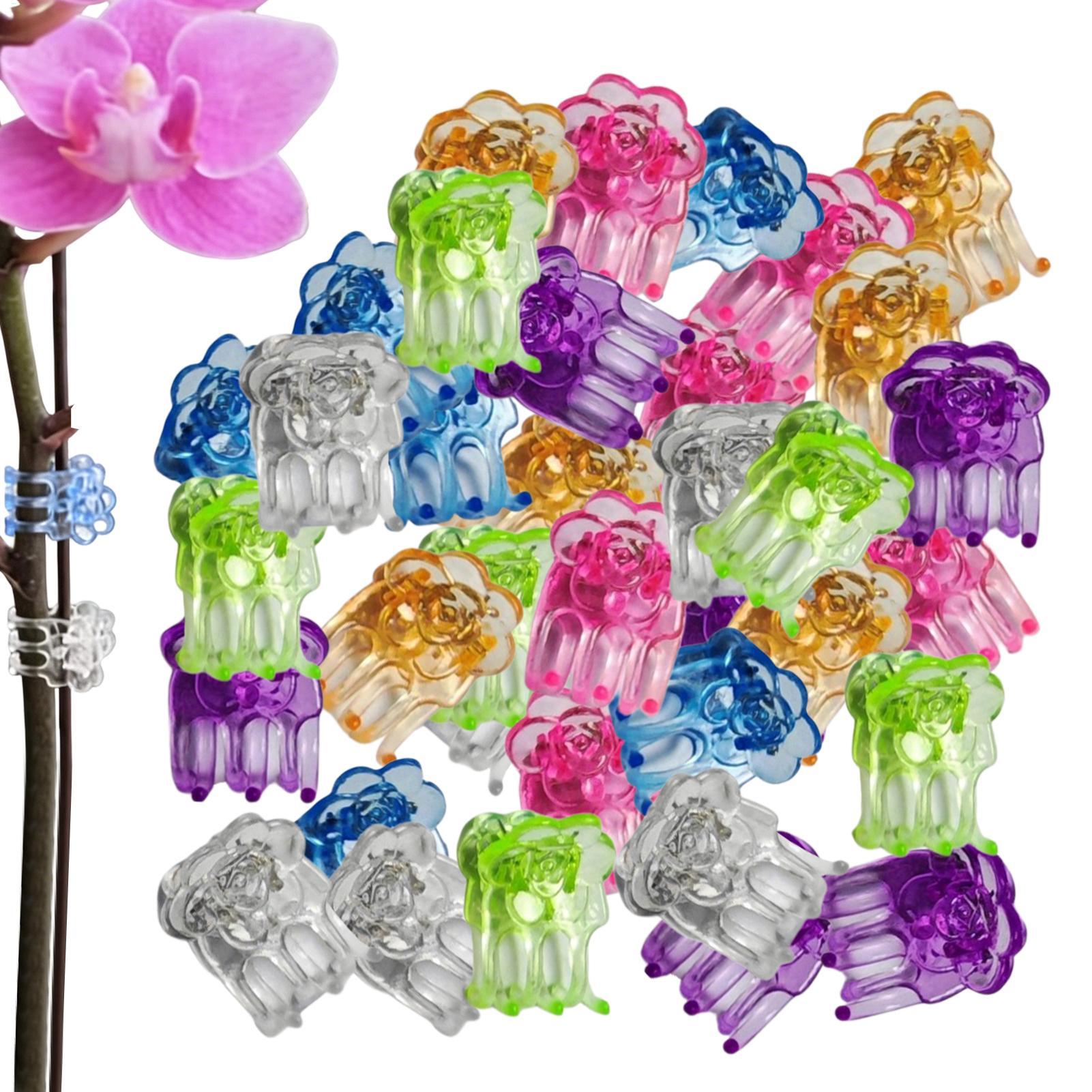オーキッドクリップ 60個入り 蝶型花茎サポートクランプ 温 - Florist Supp のレビューと価格