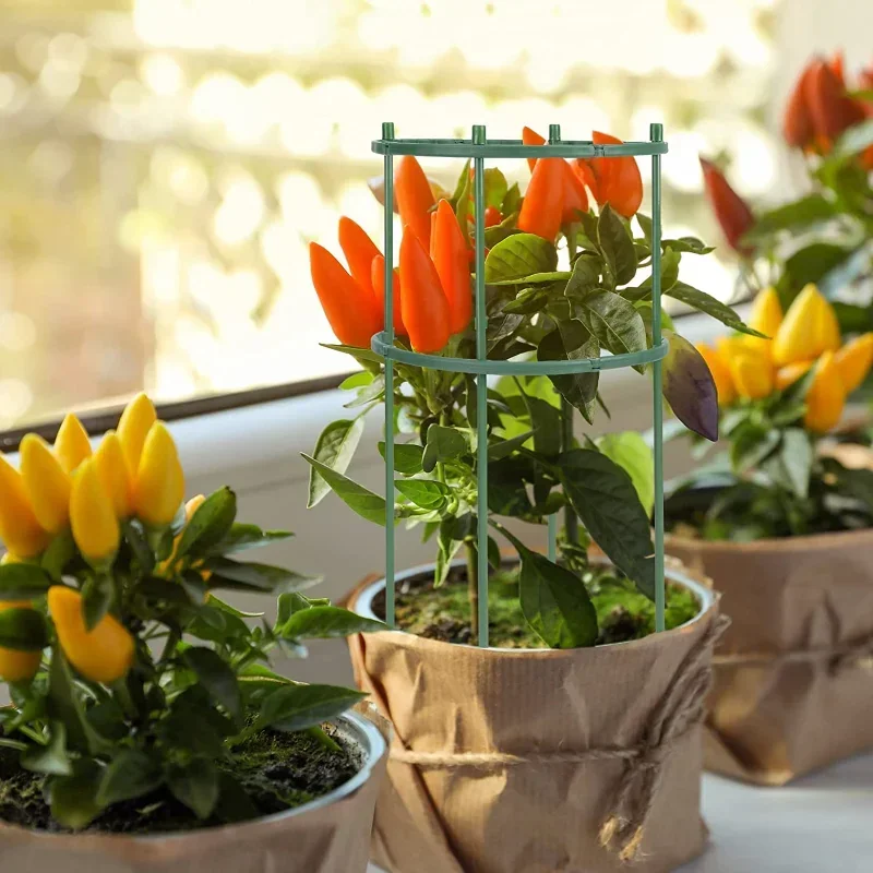 プラスチック製のパイルサポート,植物パイルスタンド,温室の配 - Florist Supp のレビューと価格