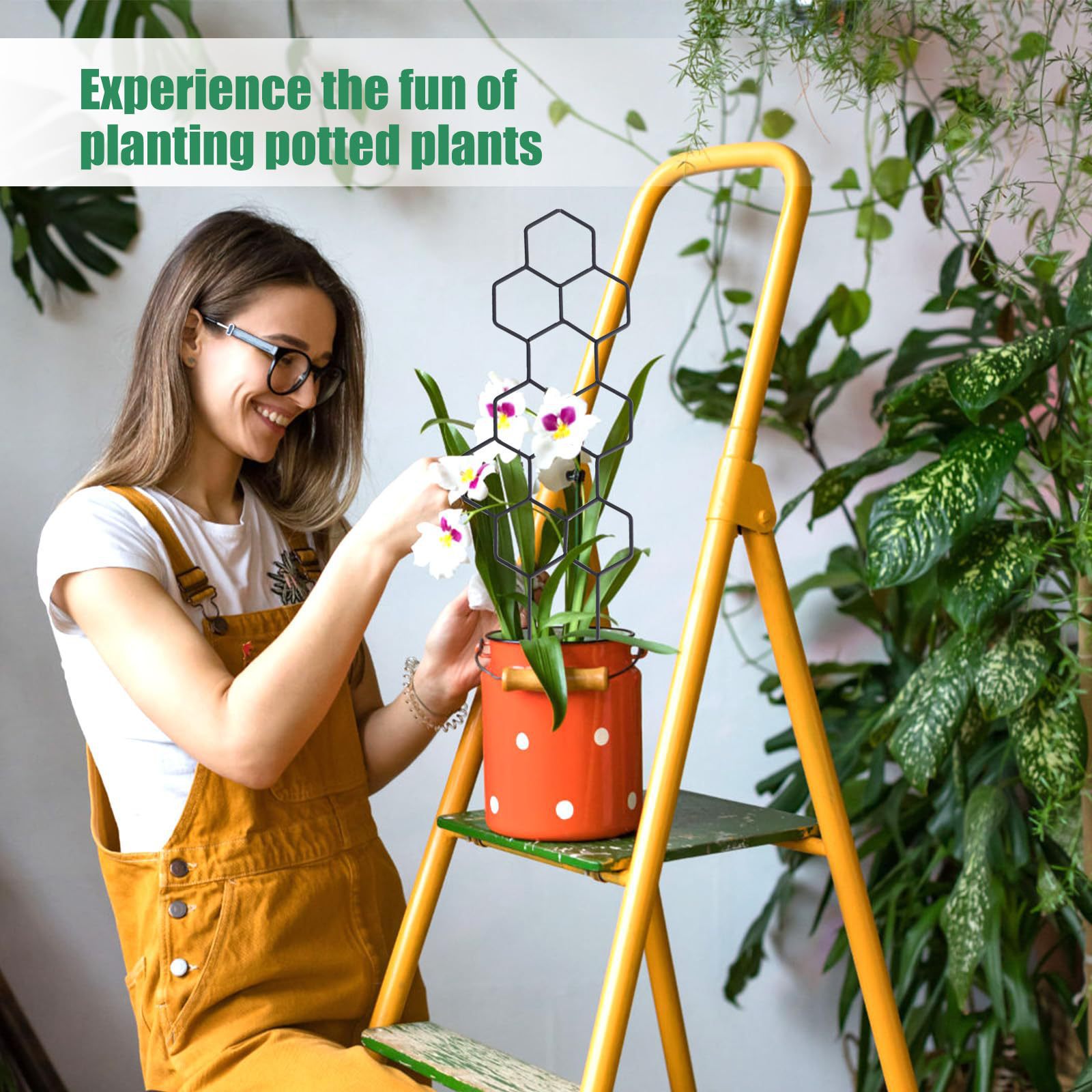 1PC ハニカムデザイン植物トレリス、鉢植えのつるや花用の防 - Florist Supp のレビューと価格